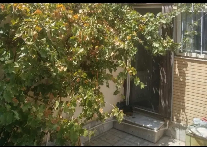 ملک مسکونی