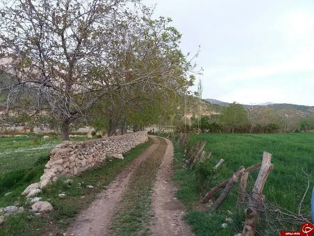 فروش زمین