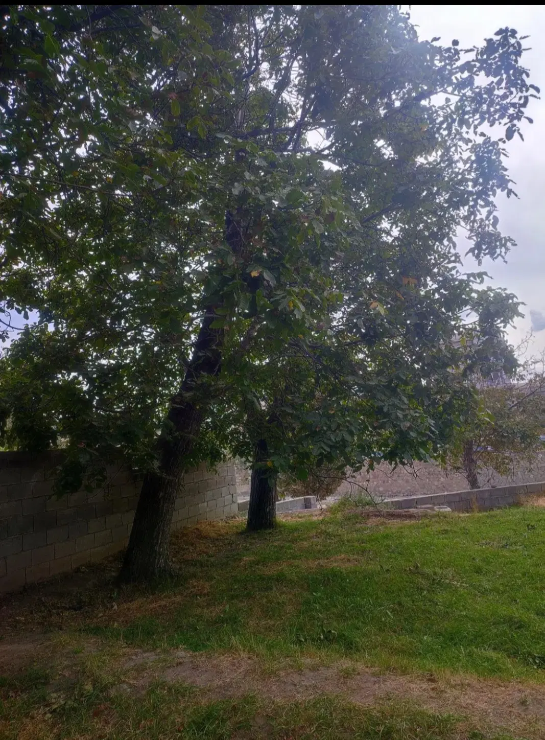 زمین بر جاده تهران