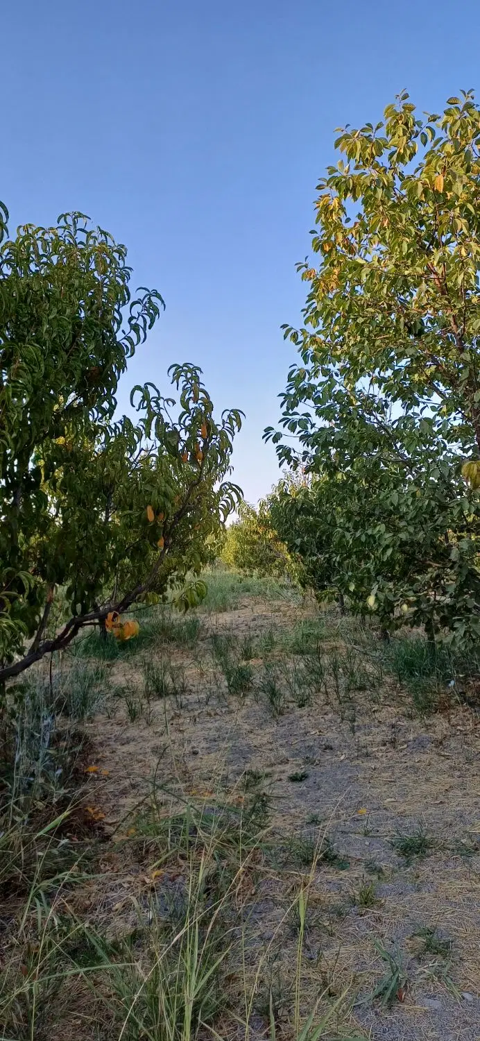 فروش  باغچه با خانه ویلایی