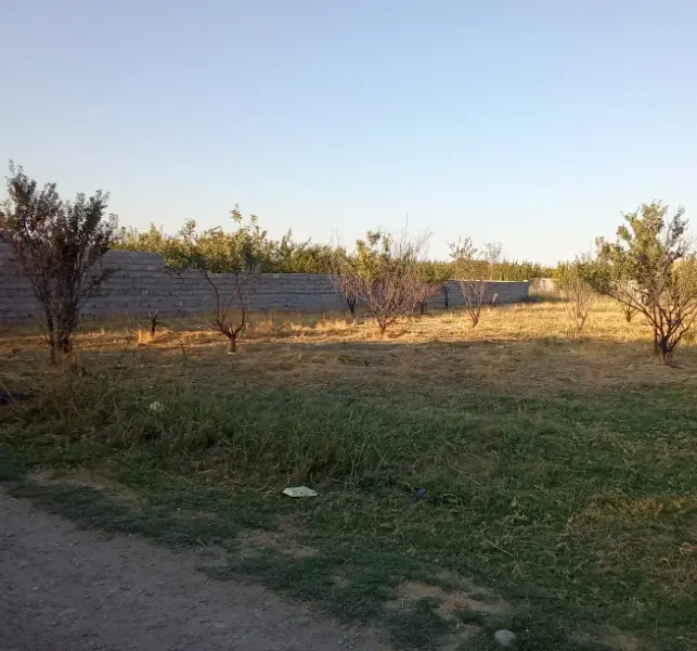 زمین دونبش کشاورزی