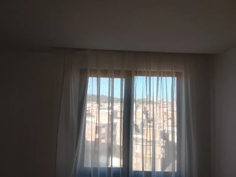 همخانه خانم