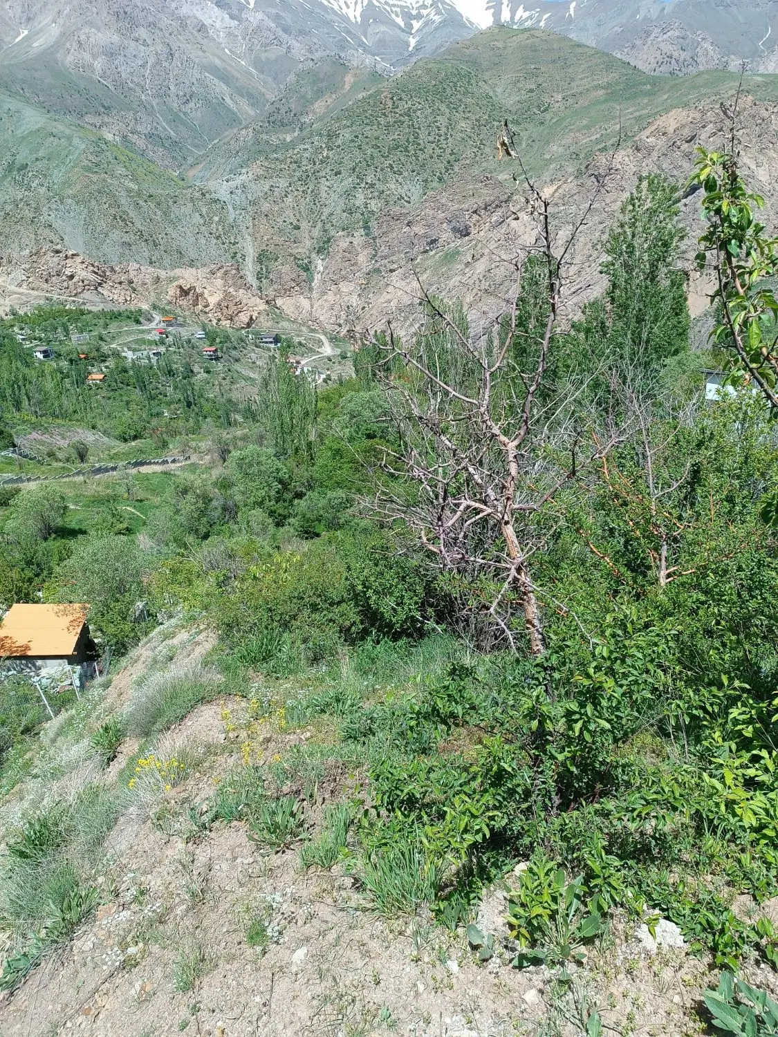 زمین جاده چالوس روستا کلها