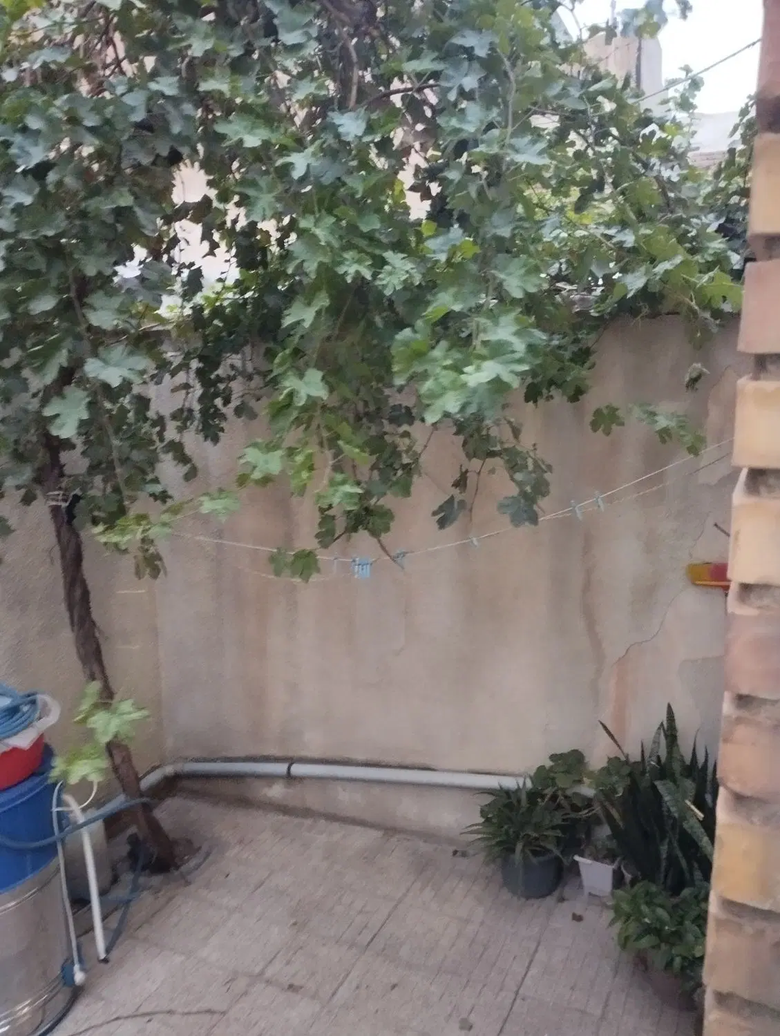 حیاط 90متری شمس تبریزی اصولی منبع اب