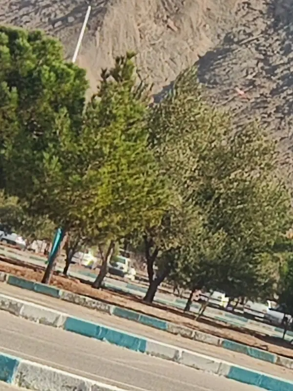 زمین سیادک