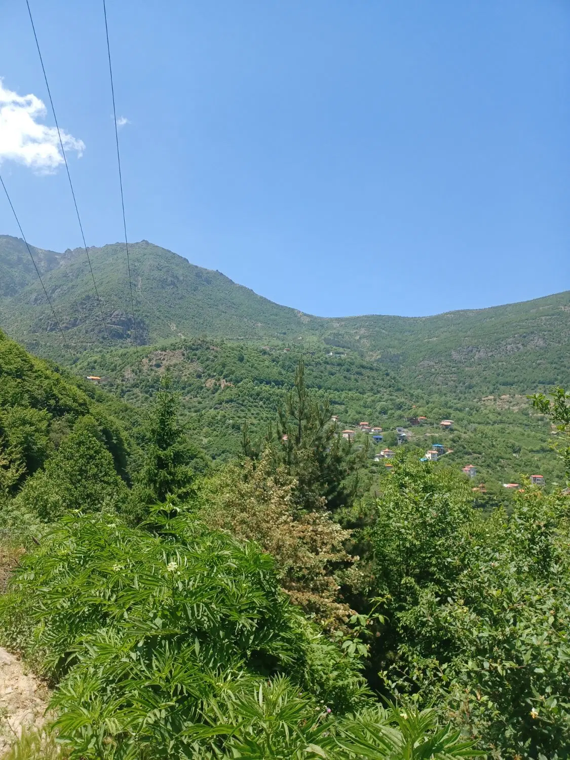 زمین ده محسن