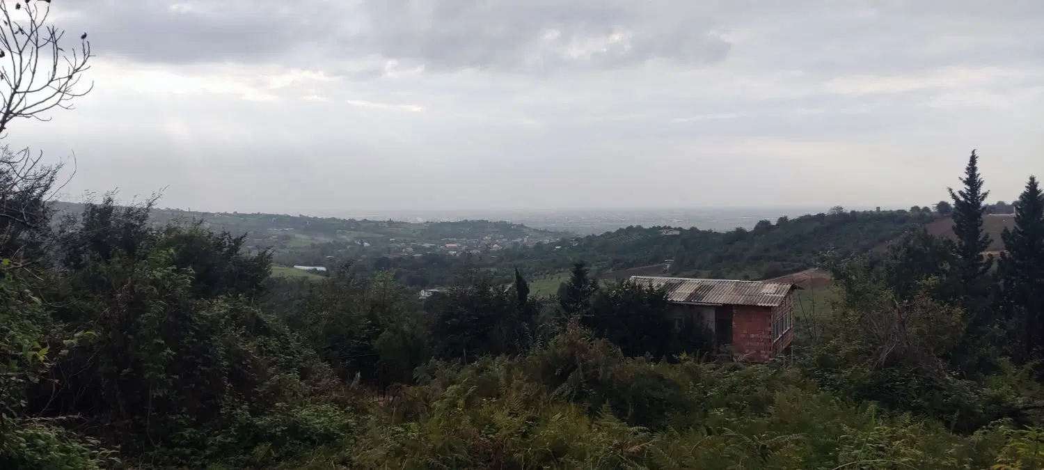 زمین باغی