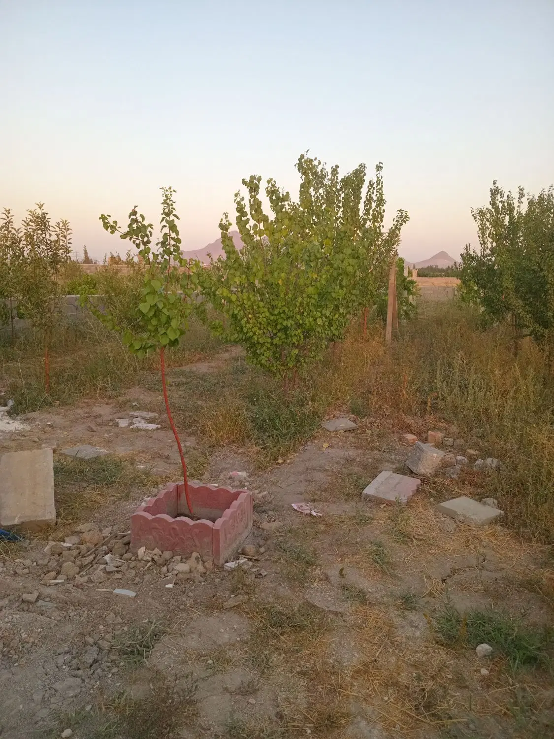 باغچه ۱۰۰۰متر