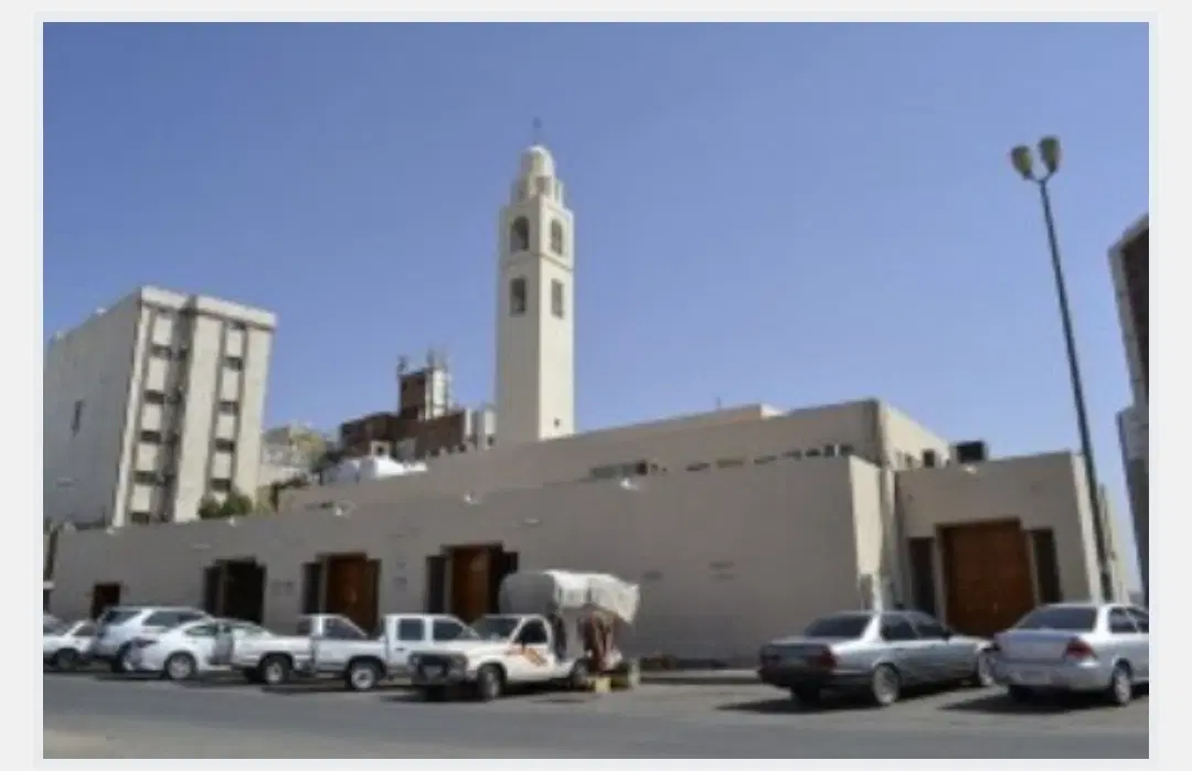 زمین جنوبی پروانه دار هویزه