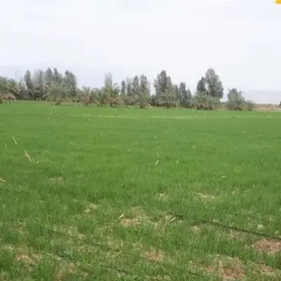 فروش زمین ابی در روستای پر آب