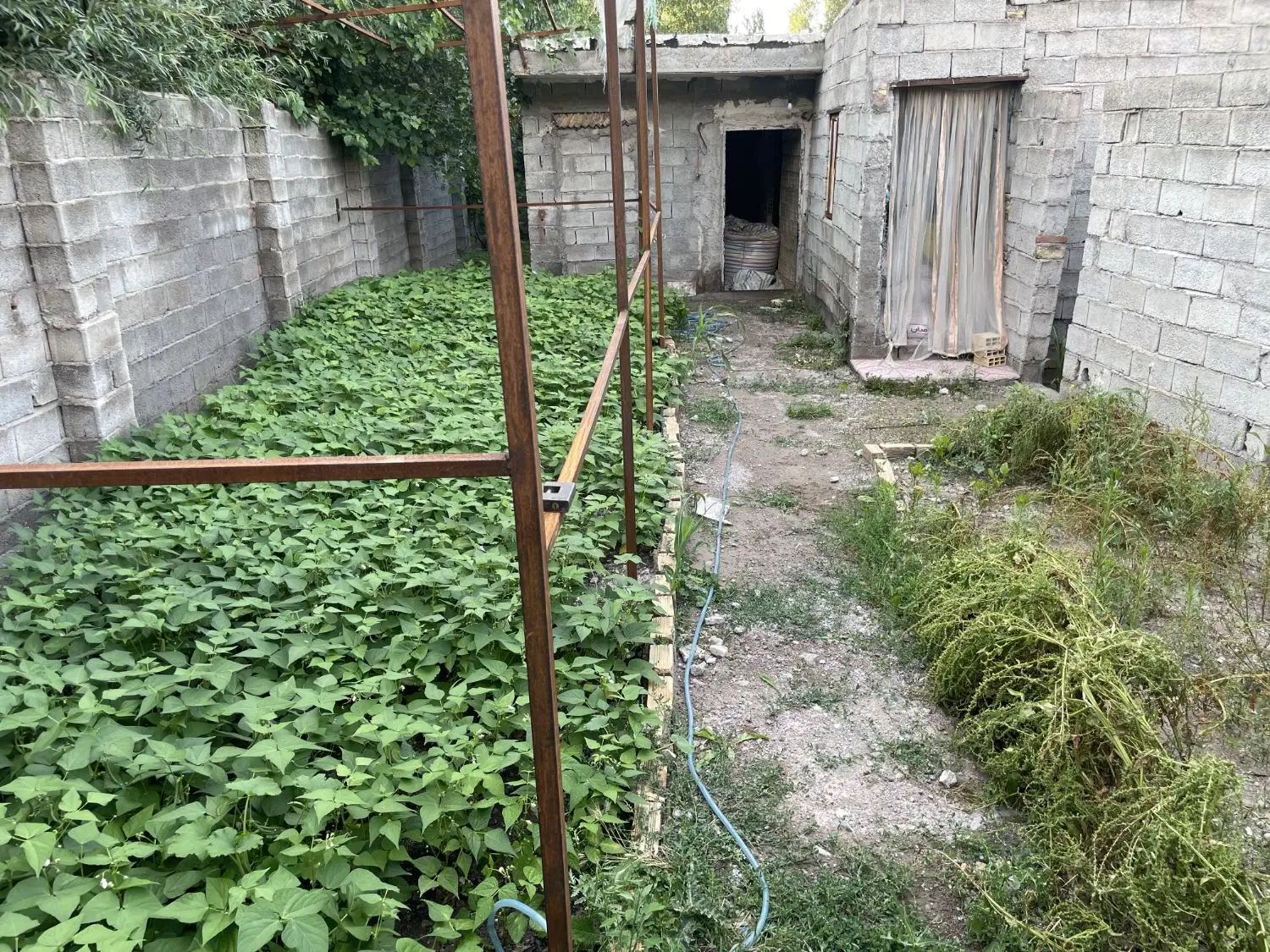 زیر بنا صدمتر با 120متر حیاط