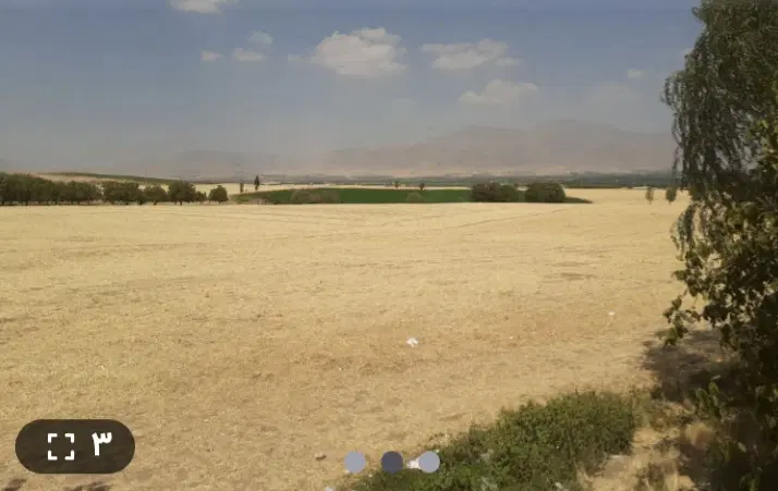 اجاره زمین کشاورزی بارانی