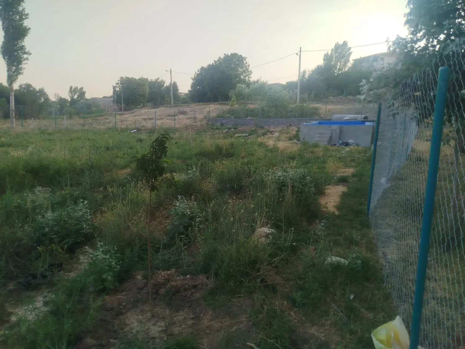 زمین کشاورزی