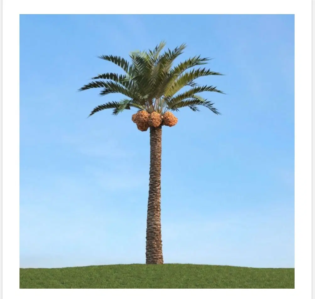 زمین فروشی قاسم آباد(با درخت)