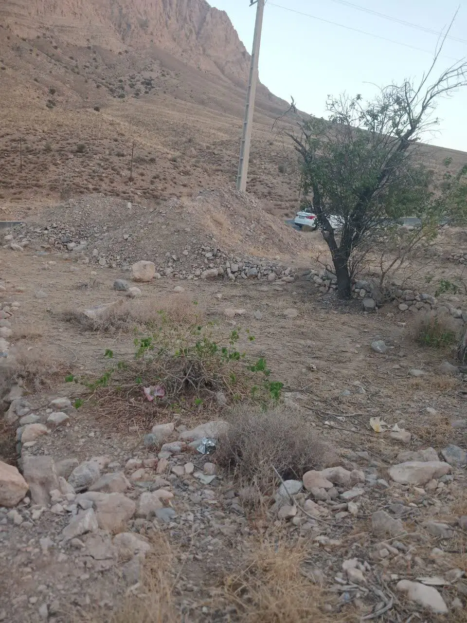زمین کنجکوه