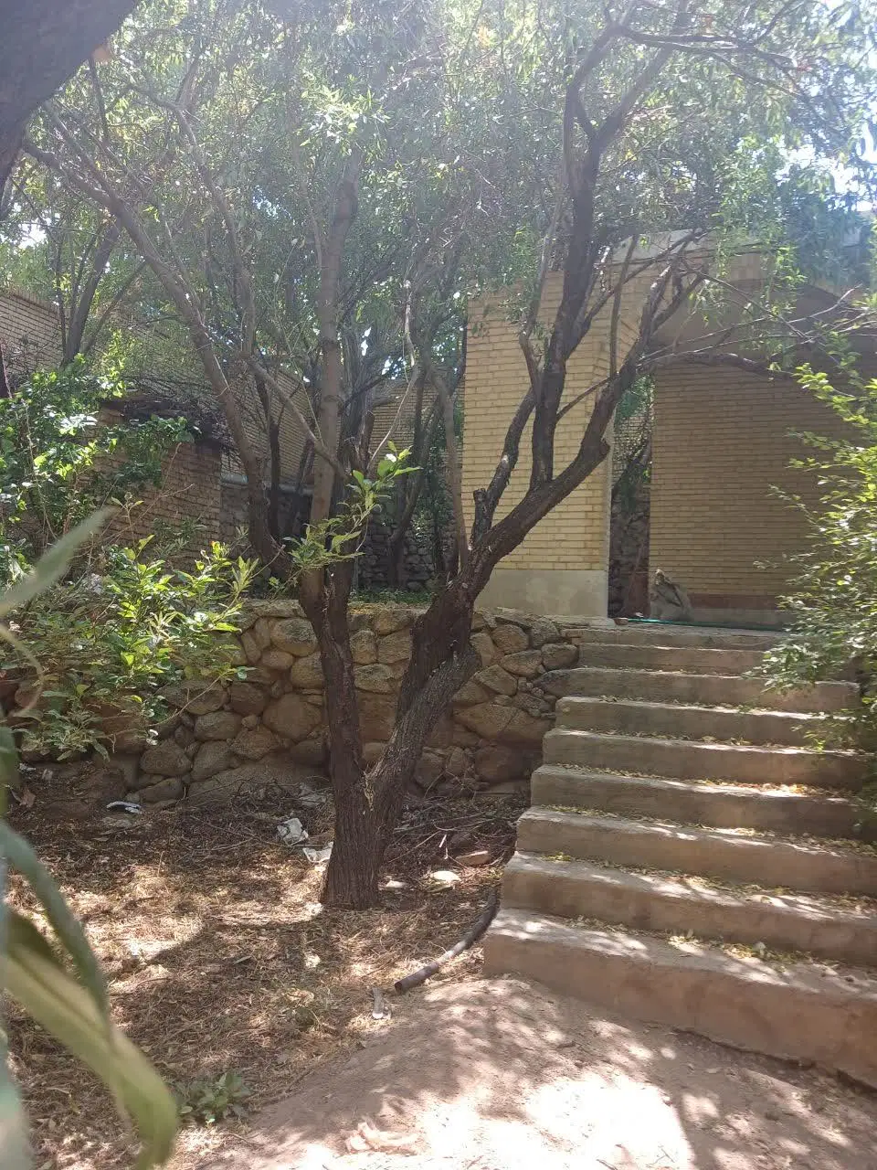 باغ سانیج
