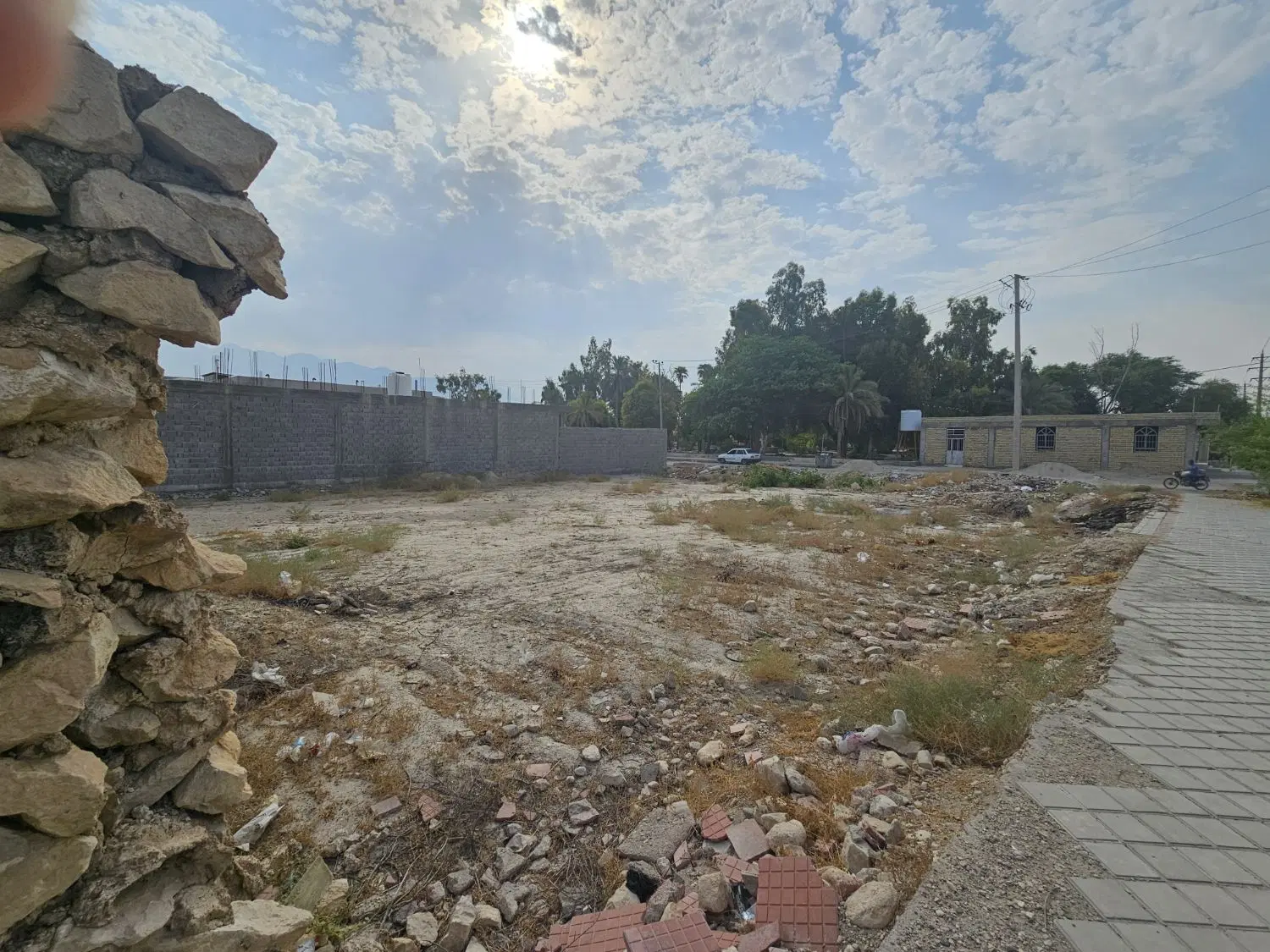 زمین