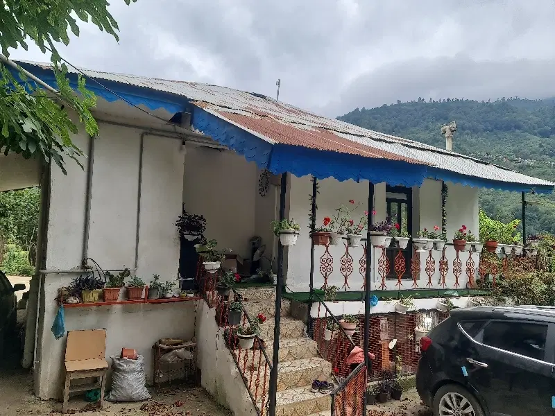خانه‌ ویلای جنگلی