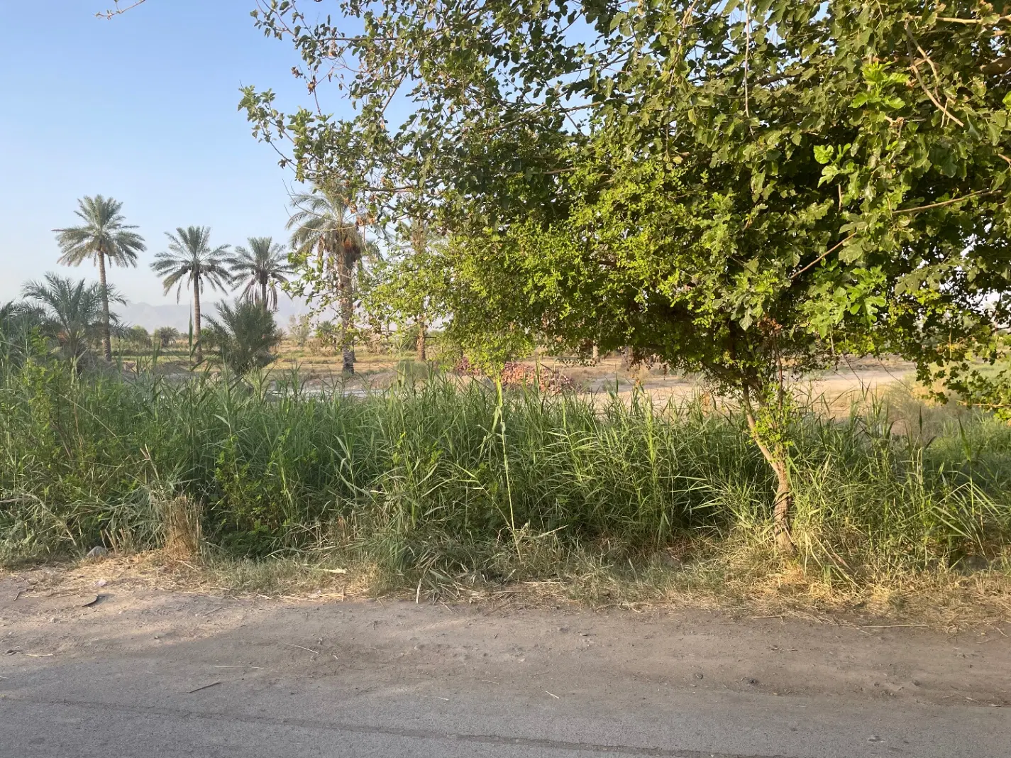 زمین