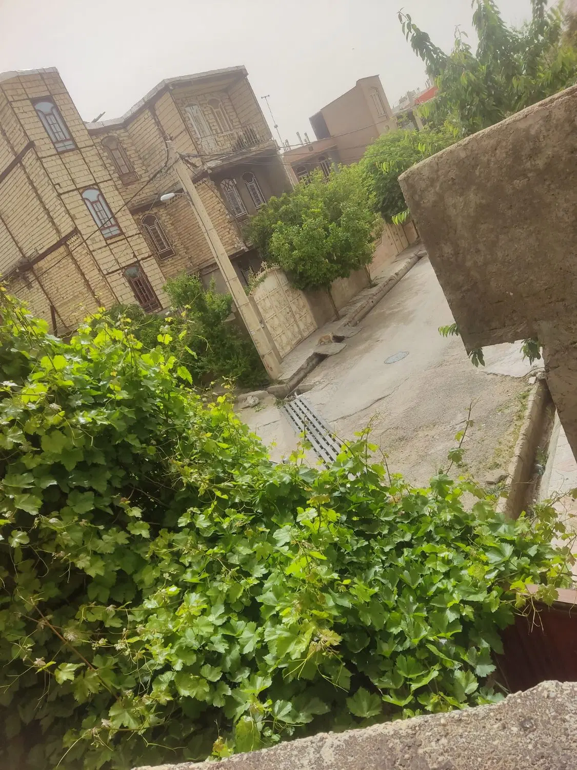 اجاره