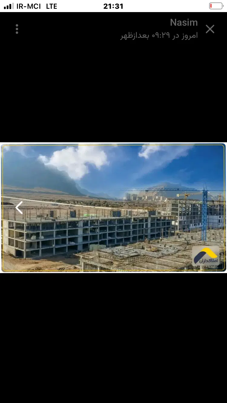 گل نرگس