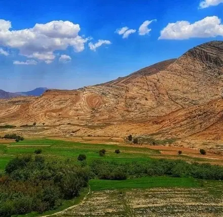 ۵۰ قصب زمین تجاری با آب مناسب برای رستوران و ویلا