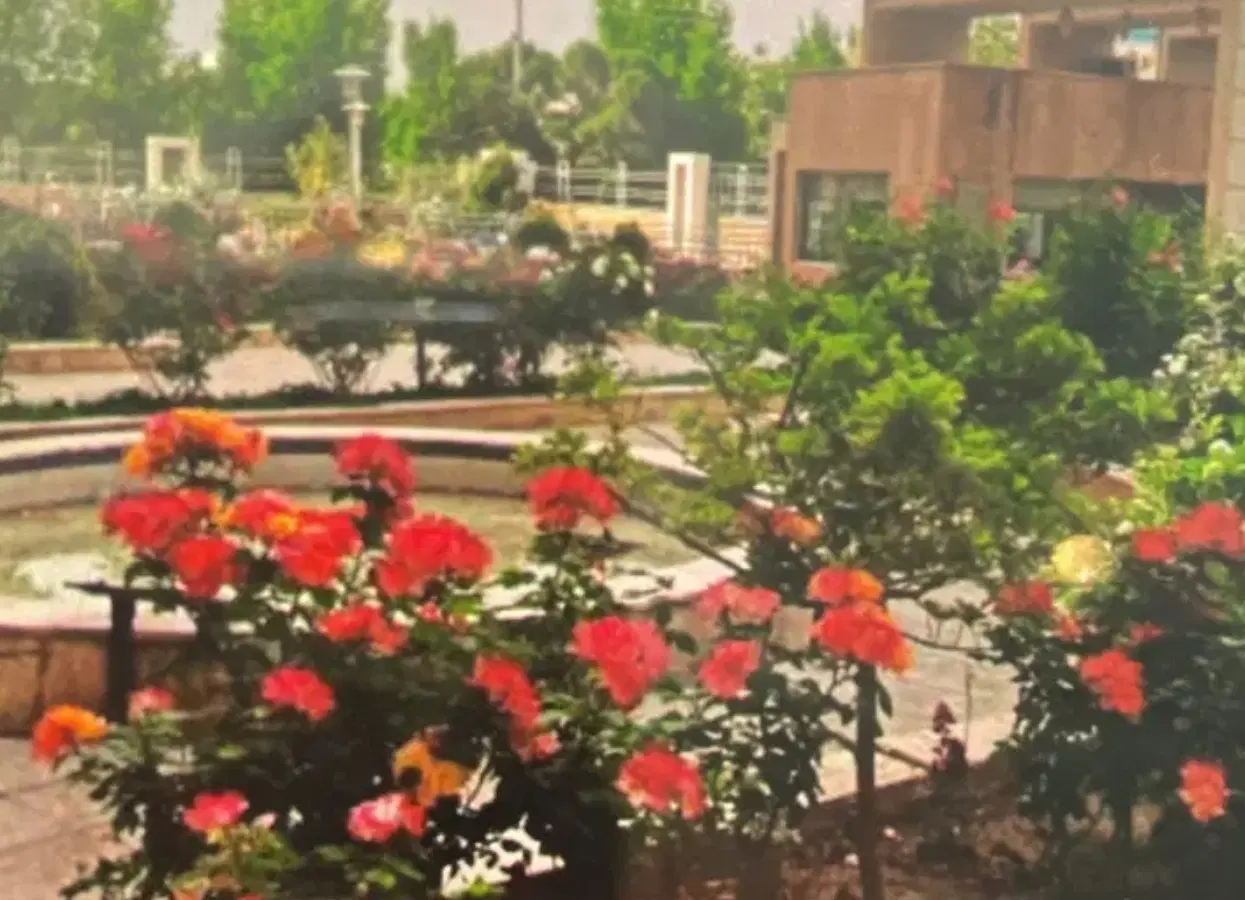 آپارتمان ۱۱۷ متری دوخواب جنوبی  دو بر نور برج افق