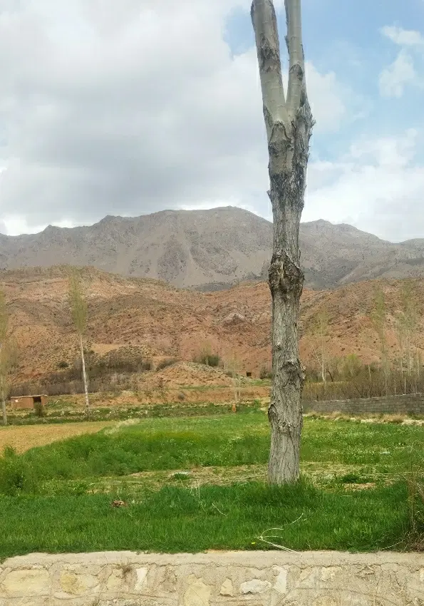 زمین  ساخت ویلا
