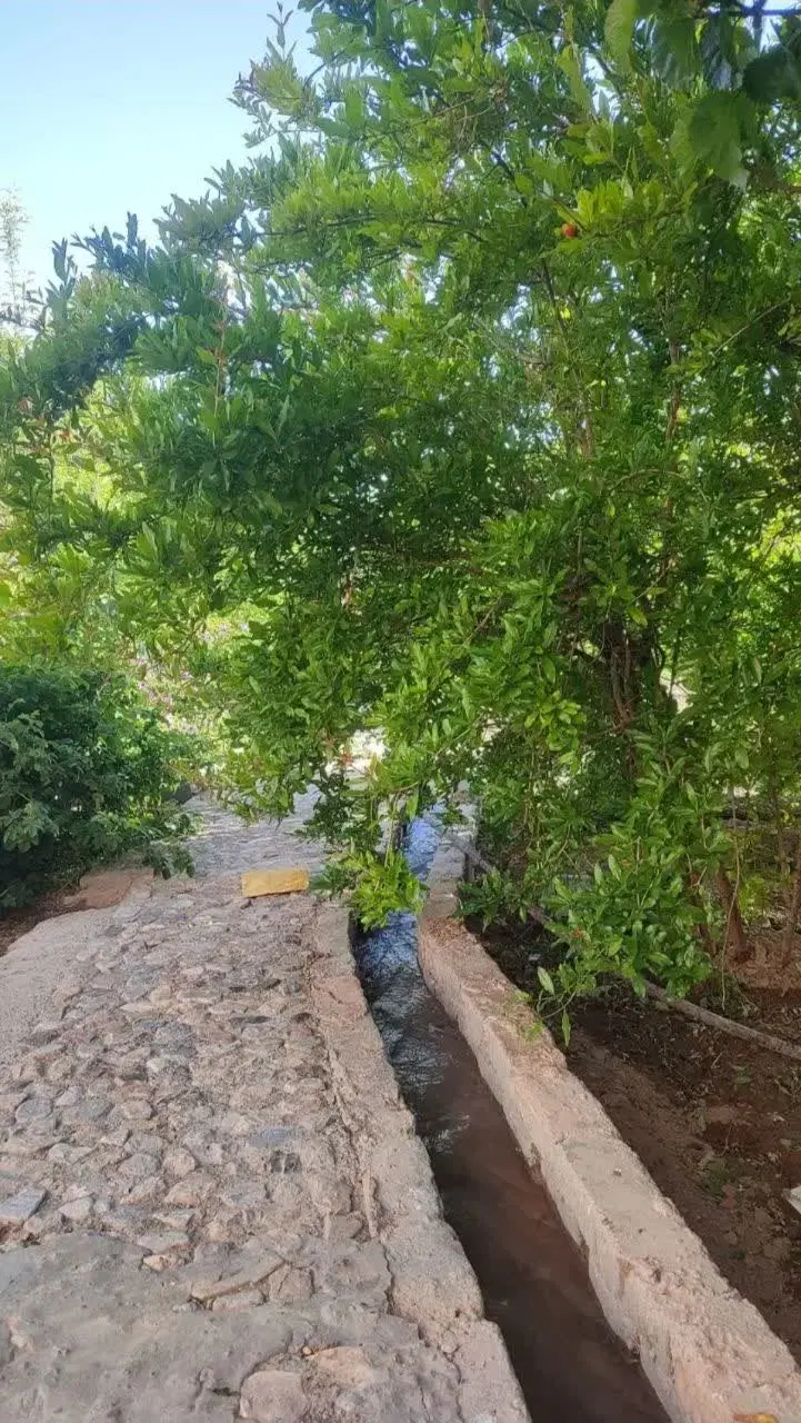 خانه  باغ ویلای دنج روستایی