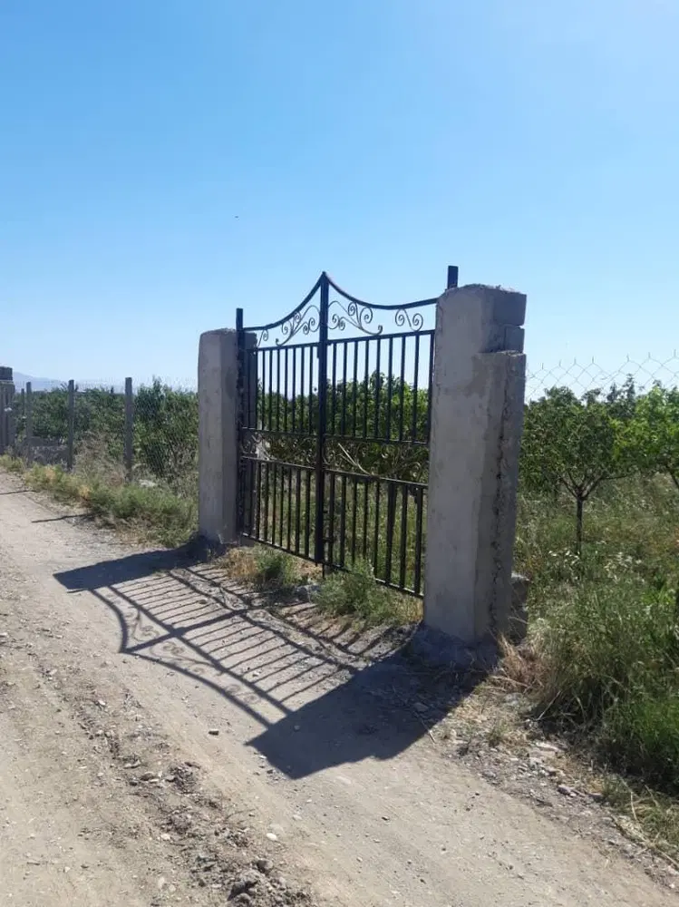 زمین زراعتی ۳۵۰ متر مربع در نظر آباد