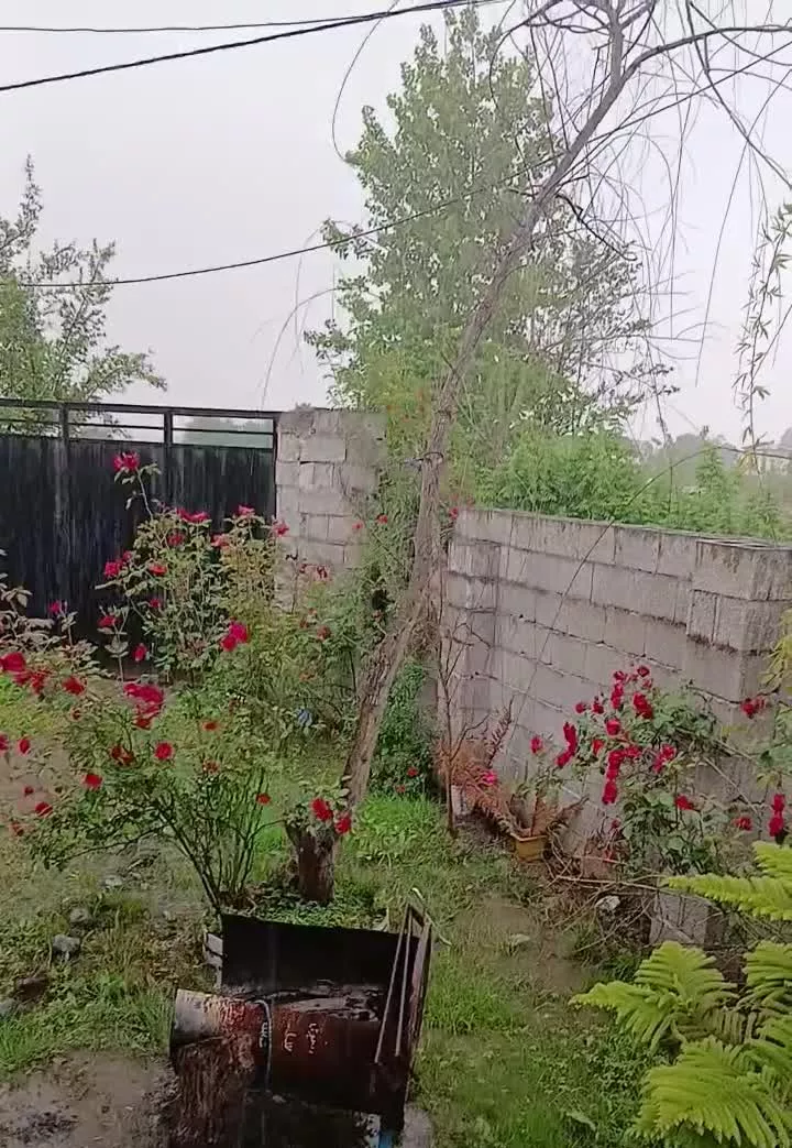 ویلای 50 متری در ماسال خودبچر