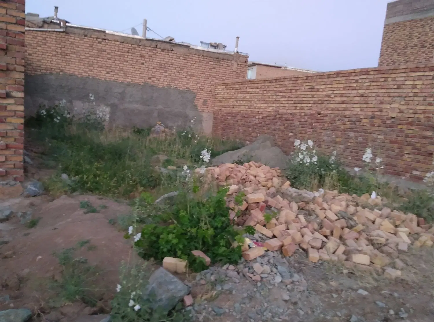 زمین