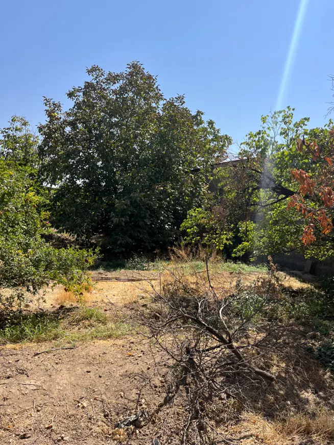 فروش زمین باغ چهاردیواری