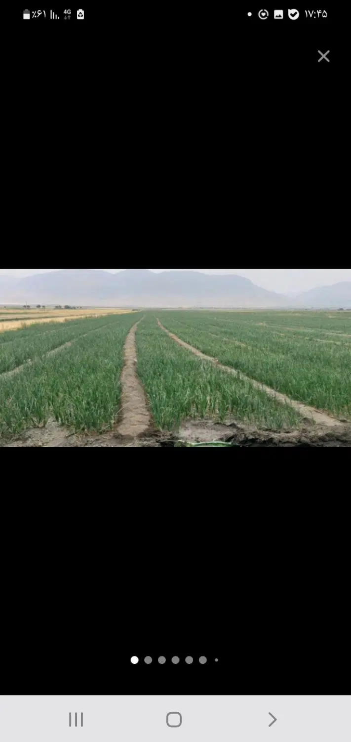 زمین کشاورزی