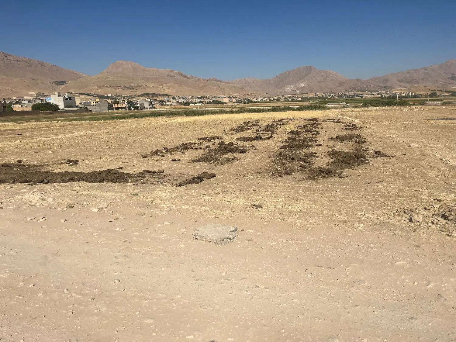 زمین کشاورزی گوجان