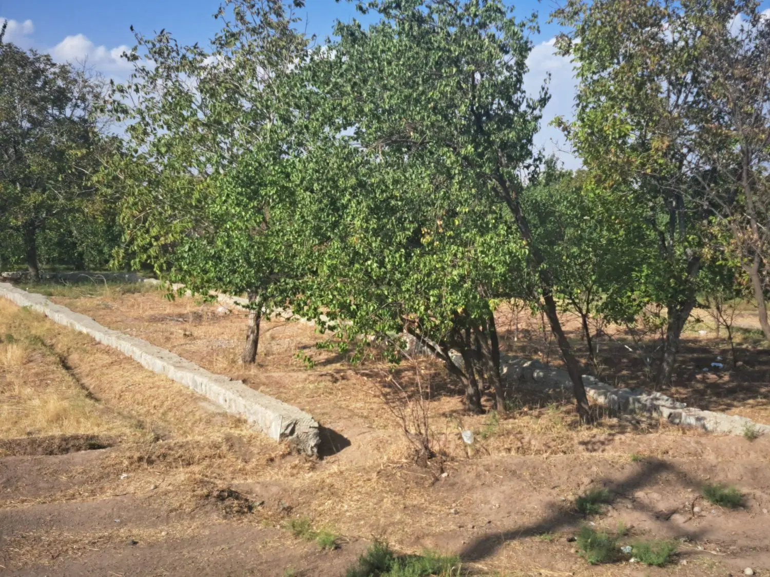زمین ۲۴۰ متری روبروی گاراژ سلیمانی