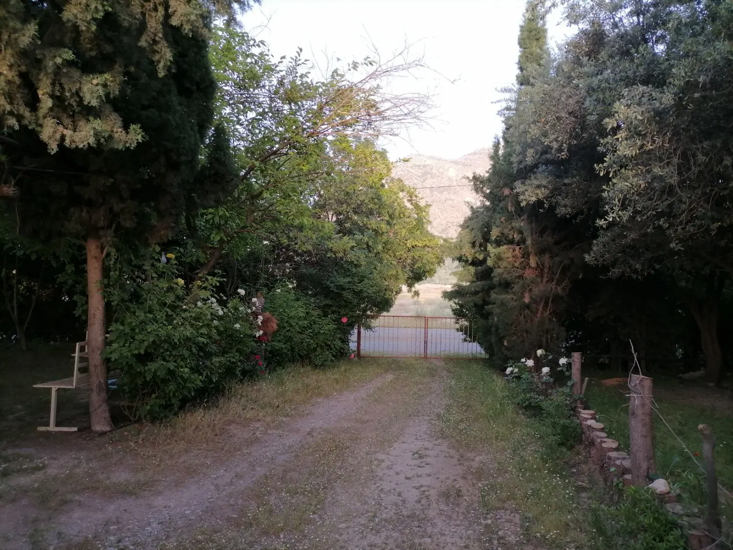 گاوداری