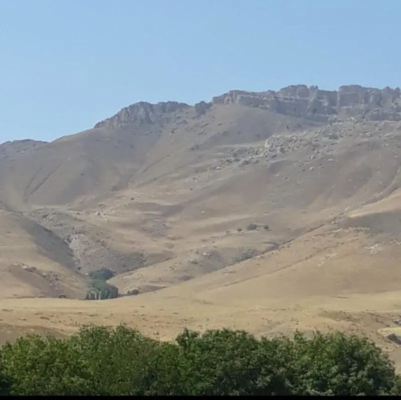 باغچه الوان