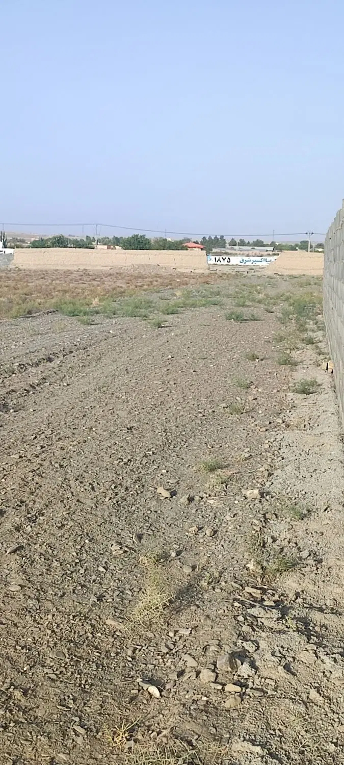 فروش زمین برای ساخت_شاهنامه_یکجا و قطعه ای_زیرفی