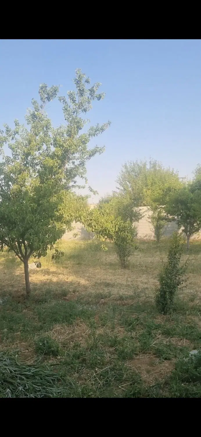 باغچه ۶۰۰ متری دور دیوار و دروازه و درختان ثمری