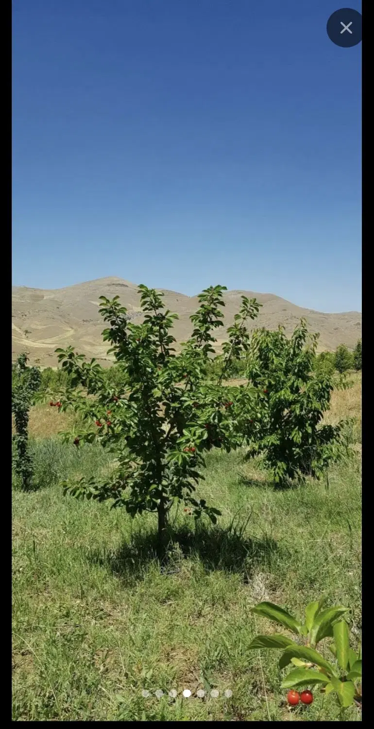 باغ روستای خشکه دول
