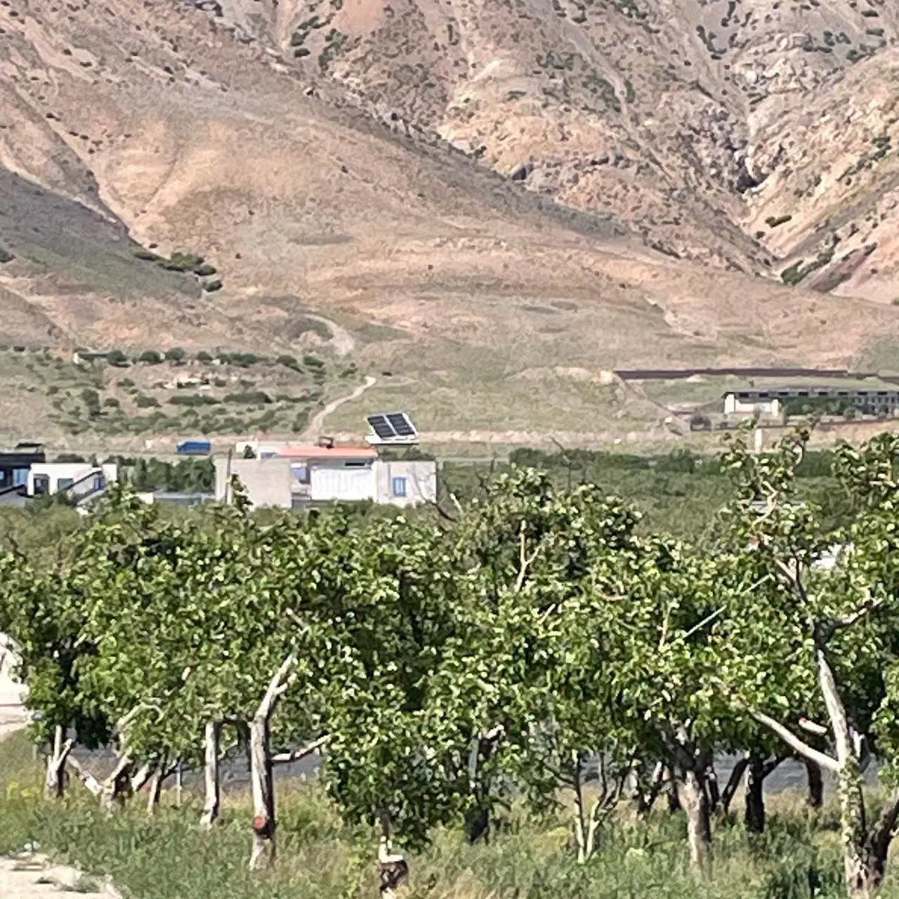 باغچه جابان دماوند باغستان ۲۰۰متر تا ۱۰۰۰متر