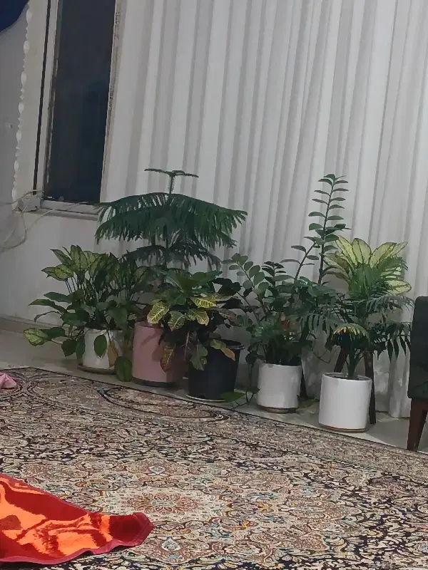 اجاره منزل مسکونی