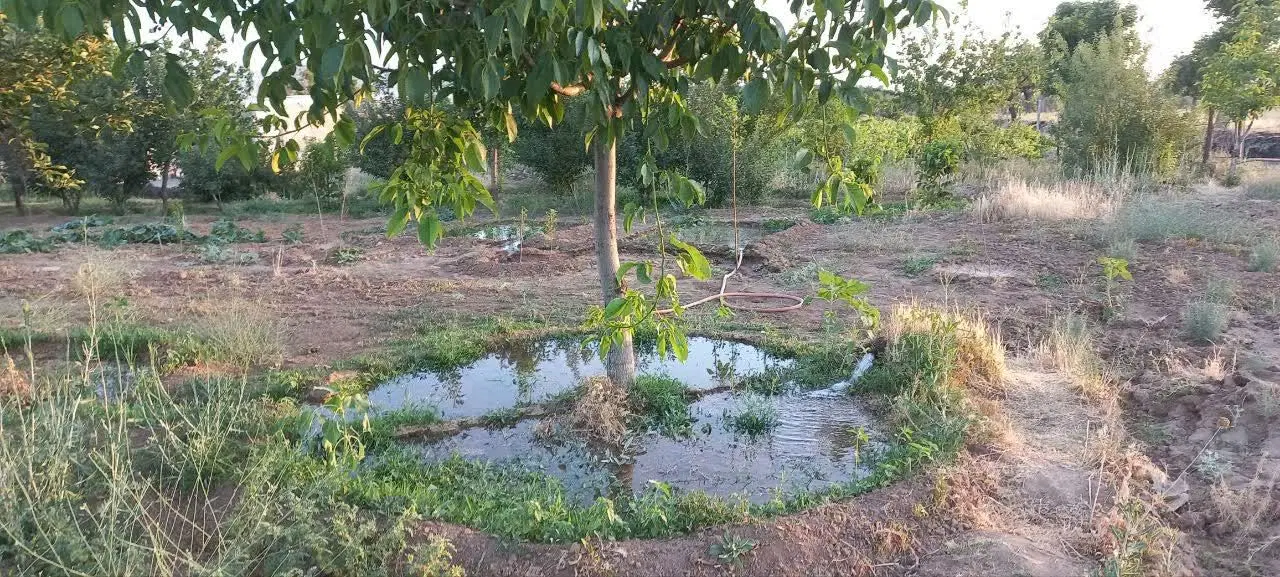 فروش باغ ۴۲۰۰ متر مربع