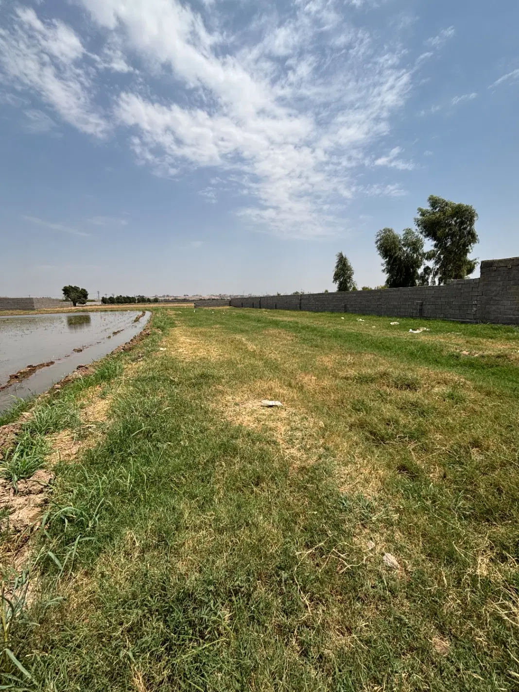 زمین بلواردانش