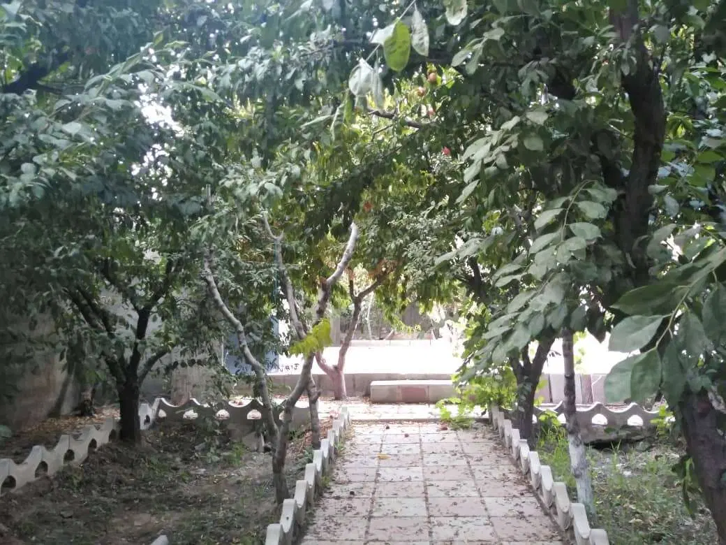 باغچه ۱۰۰۰ متر در پل کردان گلسار
