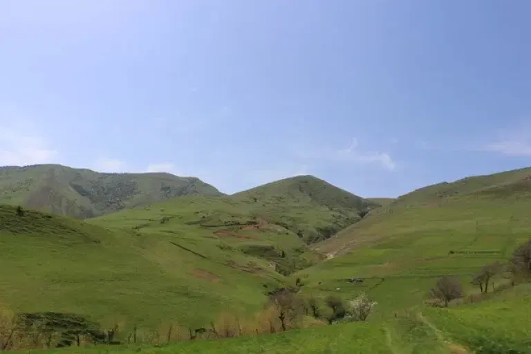 اجاره زمین روستای‌ نقاره