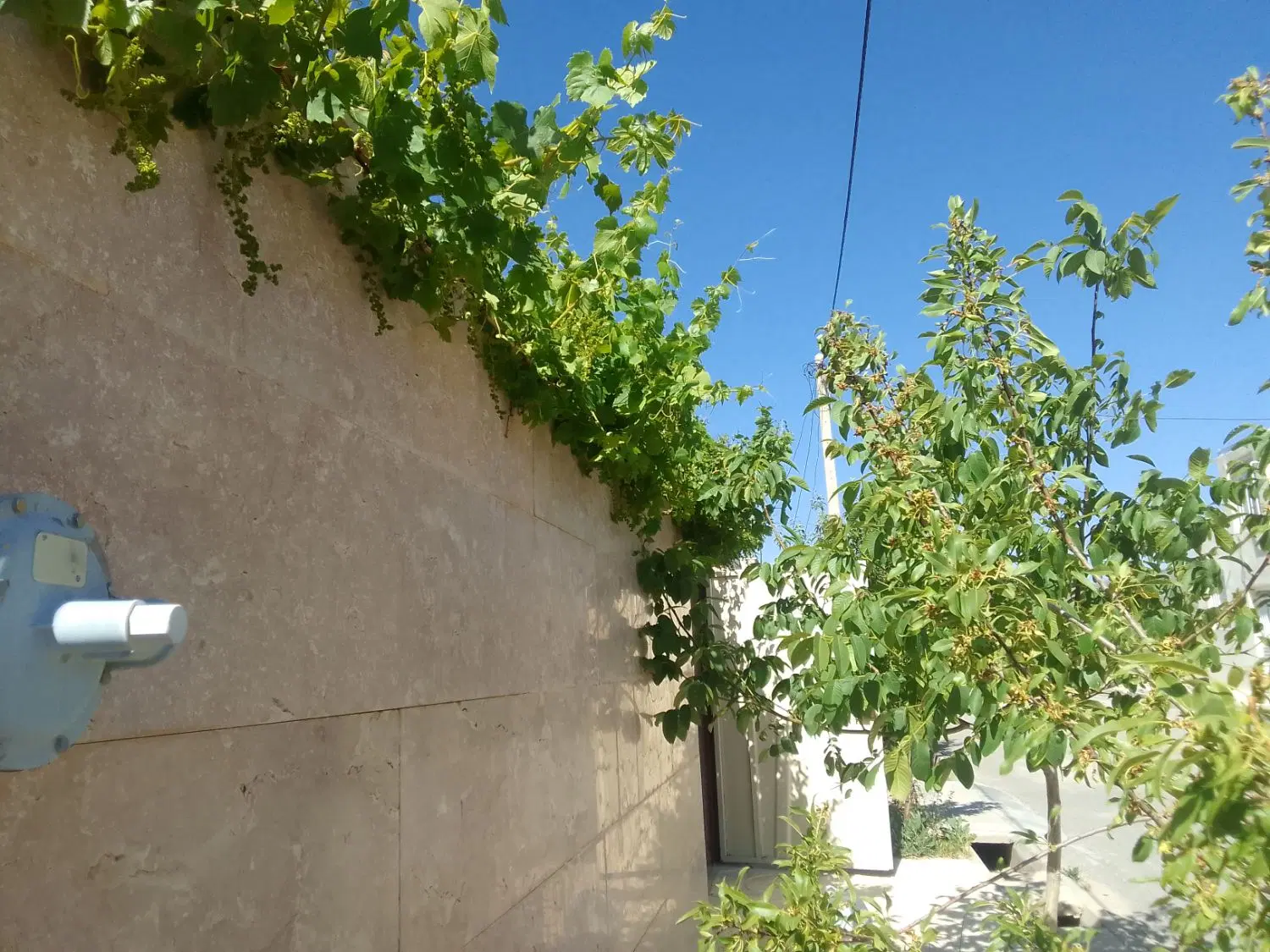 منزل ویلایی وواحد،درملایر