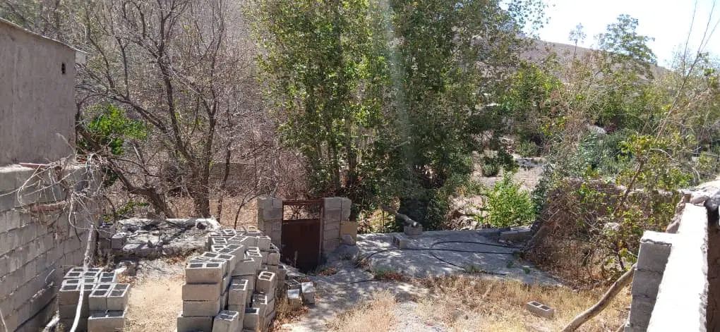 زمین باغ در کوهپایه واقع در ده شعیب