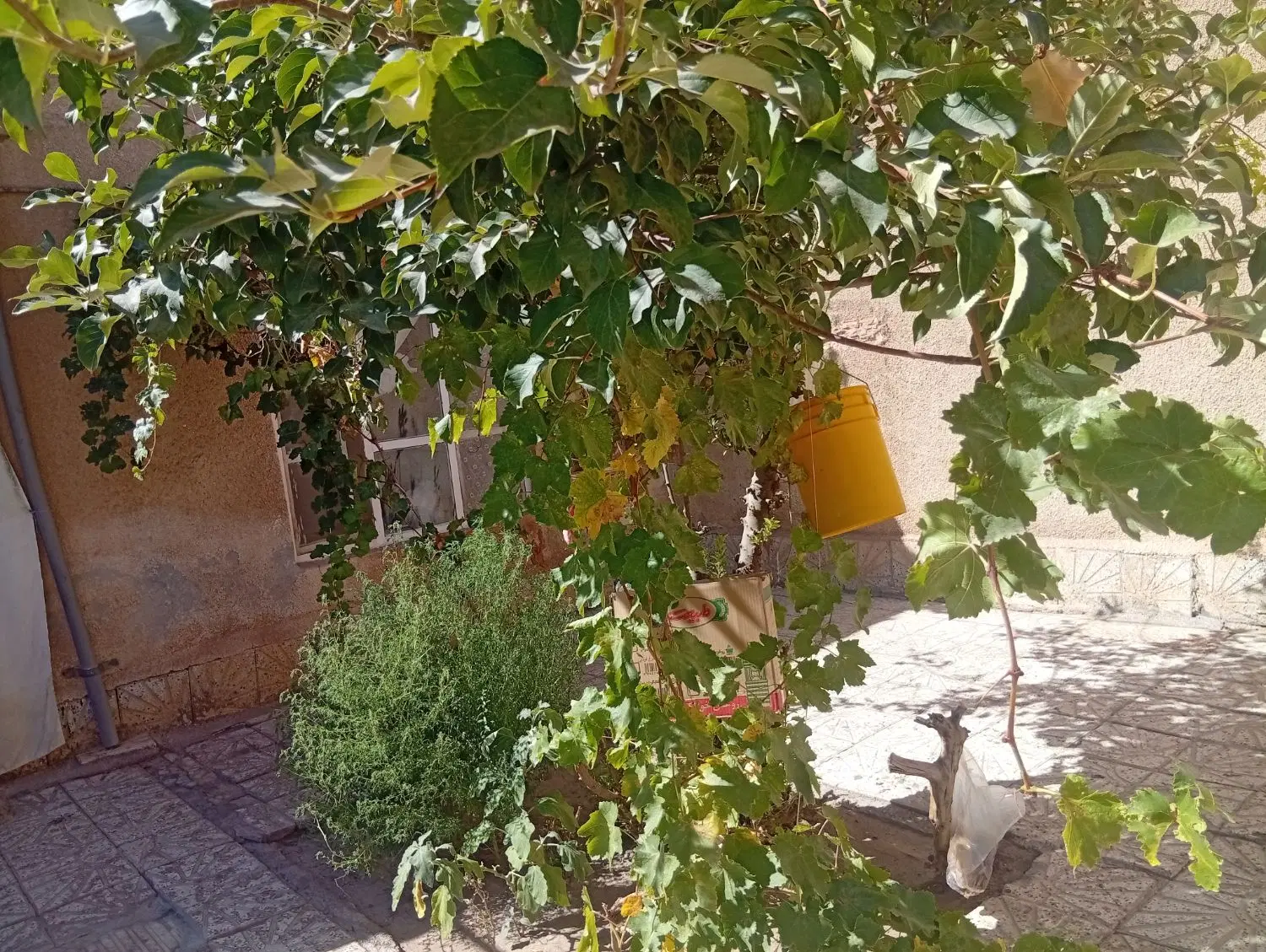 سلام ملک قدیمی با متراژ 170متری